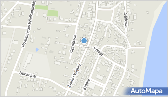 Thi Ha Ngo N.H.P, ul. Żwirki i Wigury 36, Ślesin 62-561 - Przedsiębiorstwo, Firma, NIP: 5342412470