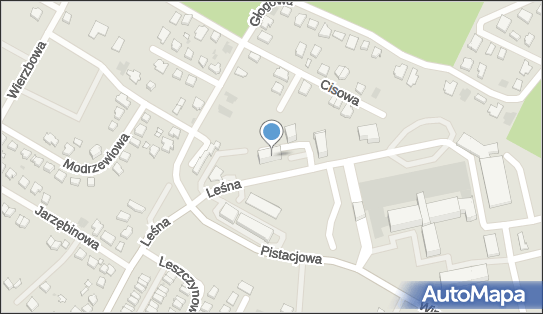 9231099977, Tina - Leszek Majewski 