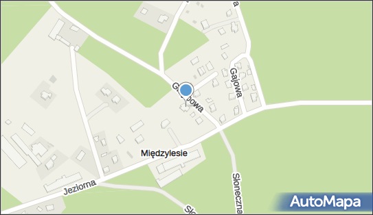 TKKI, Grzybowa 5, Międzylesie 14-100 - Przedsiębiorstwo, Firma, NIP: 7411920935