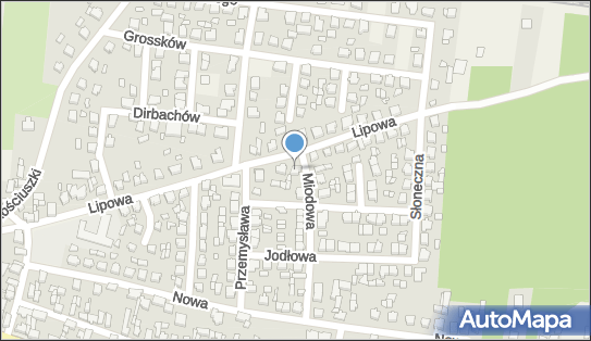 6191816358, TM-SERWIS Tomasz Burlikowski 
