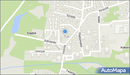Tom Car Tomasz Wiszniewski, ul. Krucza 27, Katowice 40-758 - Przedsiębiorstwo, Firma, NIP: 7181397742