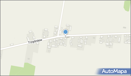 Tom - Construction, Trzęśniew 17, Trzęśniew 62-604 - Przedsiębiorstwo, Firma, NIP: 6661966010