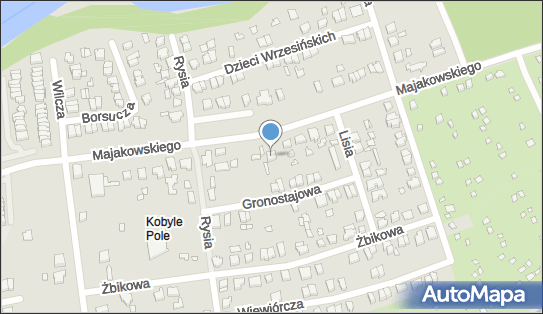 Tom Mart Tomasz Nowak, Majakowskiego Włodzimierza 340, Poznań 61-066 - Przedsiębiorstwo, Firma, NIP: 7822744658
