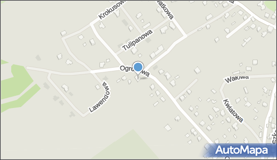 8161303342, Praktyka Lekarska Tomasz Brudniak 