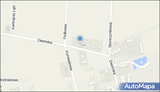 5381675593, Tomasz Butrym PT-Pro 