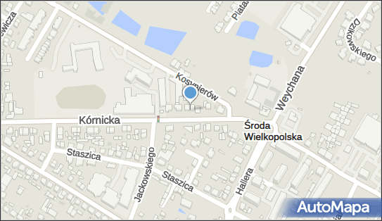 Tomasz Chudy Tom-Chud, Kórnicka 5, Środa Wielkopolska 63-000 - Przedsiębiorstwo, Firma, NIP: 7861333209