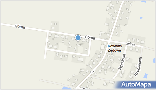 Tomasz Delura, Górna 13, Kownaty Żędowe 06-400 - Przedsiębiorstwo, Firma, NIP: 5661609539