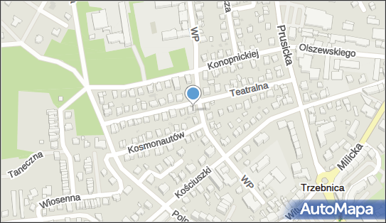 021652226, Tomasz Dubikowski Tede 