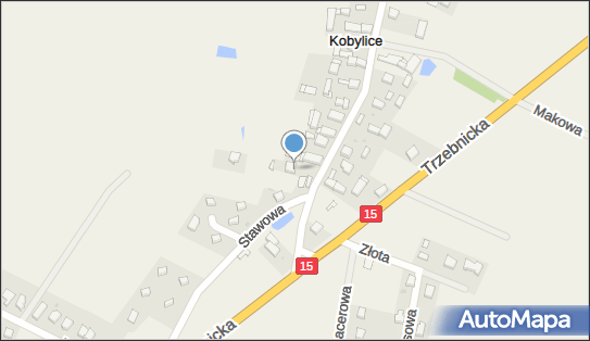 5632109142, Tomasz Fajks 