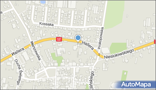 Tomasz Gościniak Enzam Elektronika Na Zamówienie, Pleszew 63-300 - Przedsiębiorstwo, Firma, NIP: 6171011775