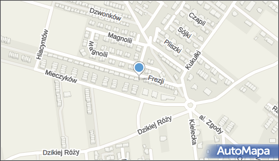 7343049475, Tomasz Hruby Consulting 