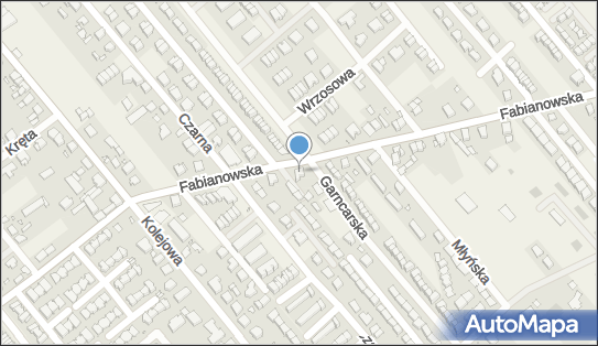 Tomasz Kaczmarek P.w.Digital, Fabianowska 46, Plewiska 62-064 - Przedsiębiorstwo, Firma, NIP: 7772361687