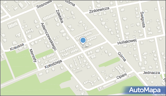 7161682066, Tomasz Madej 