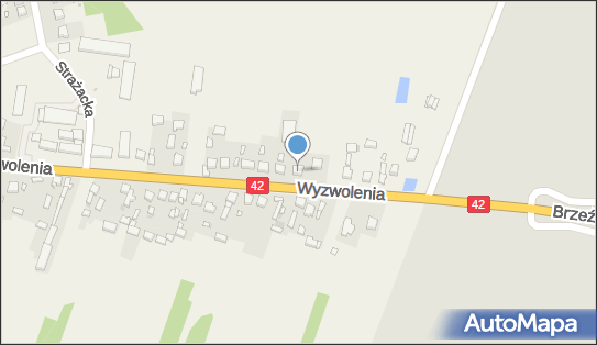 Tomasz Nita Trans - Wiert, Wyzwolenia 14, Ładzice 97-561 - Przedsiębiorstwo, Firma, NIP: 7722102073