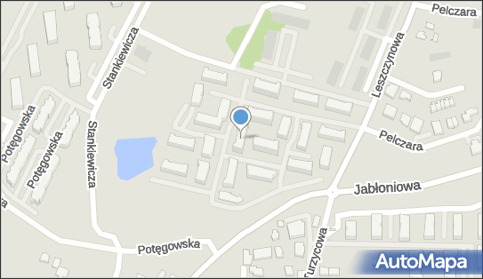 5841855843, Tomasz Owczarek 