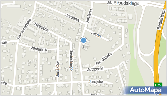 6462333153, Doradztwo IT Tomasz Para 