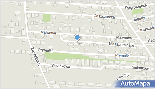 1132774058, Tomasz Pietrusiński 