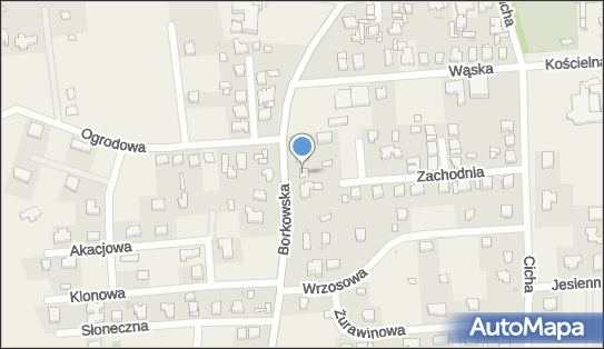 Tomasz Prokopowicz - Działalność Gospodarcza, Borkowska 5 78-132 - Przedsiębiorstwo, Firma, NIP: 6711514452