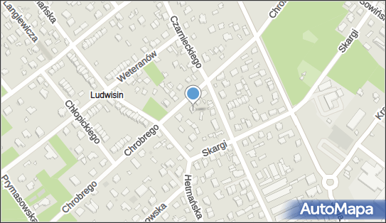 017351120, Tomasz Puźniak Geomap Survey 