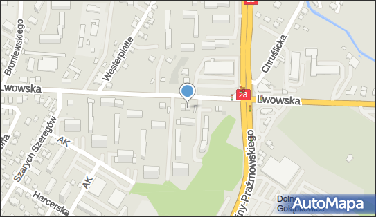 7343533449, Tomasz Skowron Move Akademia 
