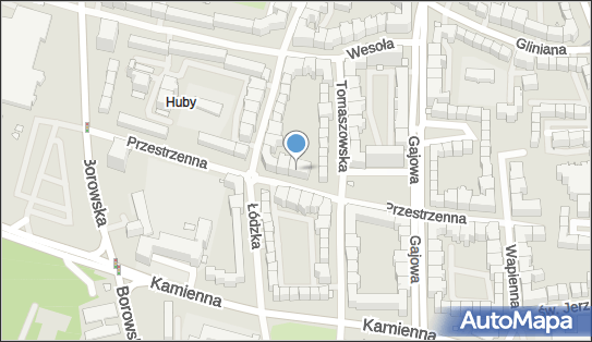 8992670209, Tomasz Śliwa Blue Magic Software 