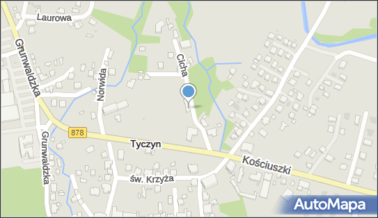 8131671791, Tomasz Staniszewski 