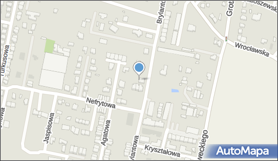 8981556881, Tomasz Tracz 