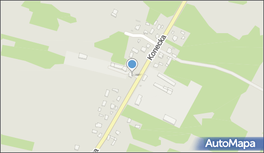 Tomasz Wielgus P.P.H.U.-Waldi, Konecka 87, Radoszyce 26-230 - Przedsiębiorstwo, Firma, NIP: 6581890150