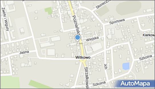 Tomaszewski Radosław Firma Handlowa MTM Radosław Tomaszewski 62-230 - Przedsiębiorstwo, Firma, NIP: 6652311605