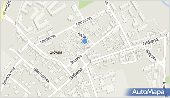 Tomax Przedsiębiorstwo Handlowo Usługowe, Średnia 1a, Poznań 61-011 - Przedsiębiorstwo, Firma, NIP: 7821673927