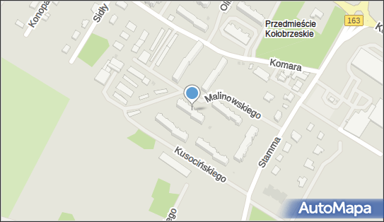 Tomczak Małgorzata Protezownia, ul. Janusza Kusocińskiego 2 78-200 - Przedsiębiorstwo, Firma, NIP: 6721036511