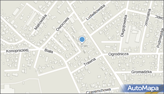 147164153, Tomi-Trans Tomasz Brzozowski 