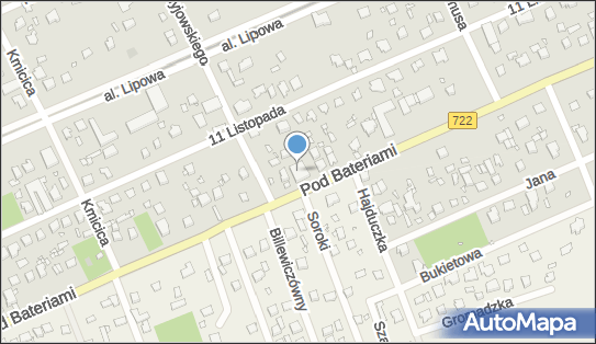 Top Dance Academy, ul. Pod Bateriami 50, Piaseczno 05-502 - Przedsiębiorstwo, Firma, NIP: 5252633977