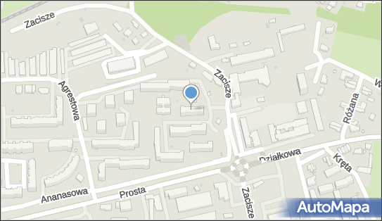 9730441655, Top Home Dagmara Suchodolska 