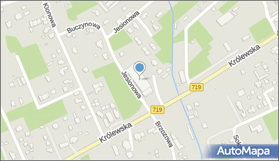 Top Investment Sp. z o.o., Królewska 6, Grodzisk Mazowiecki 05-825 - Przedsiębiorstwo, Firma, numer telefonu
