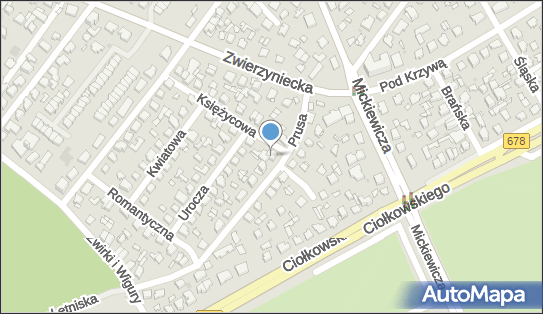 5423022767, Toptrans Roman Marcin Izbicki 