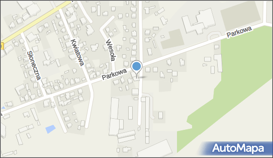 Towarowy Transport Drogowy - Józef Kubacki, ul. Parkowa 20A 62-709 - Przedsiębiorstwo, Firma, NIP: 6681549539