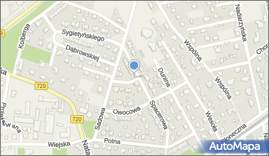 Towarzystwo Polsko Albańskie, Spacerowa 17, Otrębusy 05-805 - Przedsiębiorstwo, Firma