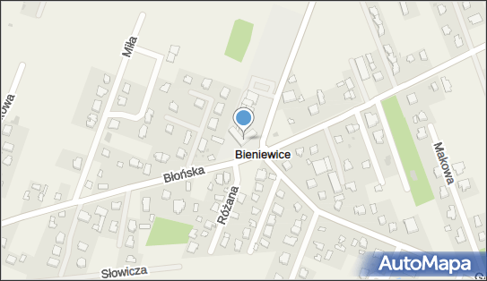 Towarzystwo Pomocy Dzieciom Wiejskim, ul. Błońska 62, Bieniewice 05-870 - Przedsiębiorstwo, Firma, numer telefonu, NIP: 1181918534
