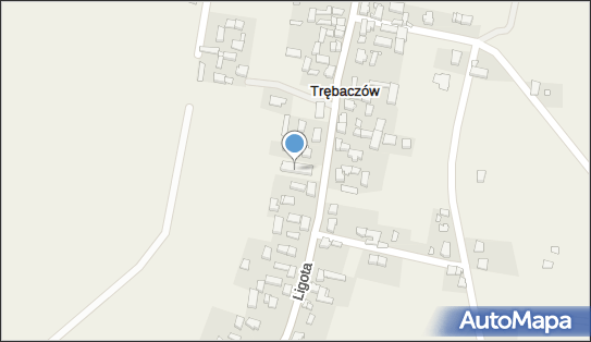6192002801, Towarzystwo Sympatyków Trębaczowa 