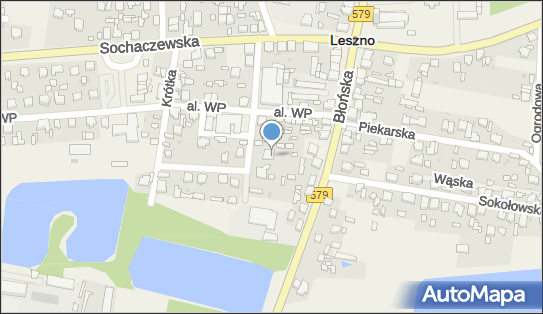 Tportal, ul. ks. Jana Raczkowskiego 21, Leszno 05-084 - Przedsiębiorstwo, Firma, NIP: 5291016912