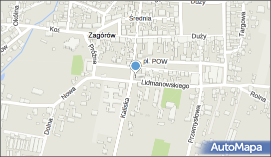 TPZZ, Wojska Polskiego 13, Zagórów 62-410 - Przedsiębiorstwo, Firma, numer telefonu