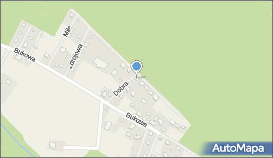 5993210431, Traian Visalon 