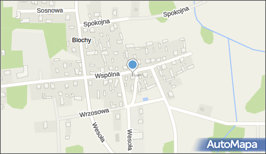 Trans Dan Danuta Bloch i Halina Korszlak, Blochy 26A, Blochy 07-210 - Przedsiębiorstwo, Firma, NIP: 7621528675