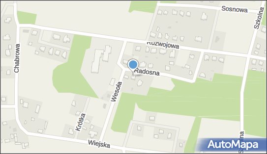 Trans Polis, Radosna 4, Stare Bosewo 07-210 - Przedsiębiorstwo, Firma, NIP: 7621003234