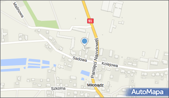 Trans Sad, ul. Sadowa 8 B, Miłobądz 83-111 - Przedsiębiorstwo, Firma, NIP: 5932312841