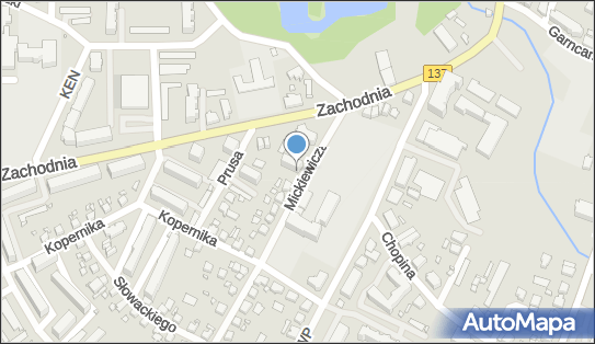 TransCap, ul. Mickiewicza 2A, Międzyrzecz 66-300 - Przedsiębiorstwo, Firma, NIP: 5961372596