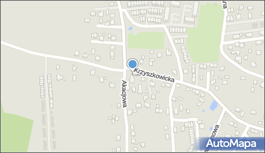 6831325104, Agnieszka Tyrańska Transfer Team 