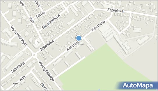 Transksaw Paweł Grochowski, ul. Janusza Korczaka 12 21-300 - Przedsiębiorstwo, Firma, NIP: 5381721614