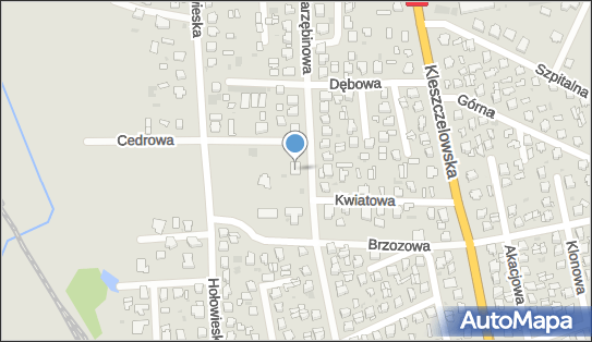 Transpol, Jarzębinowa 26, Bielsk Podlaski 17-100 - Przedsiębiorstwo, Firma, numer telefonu, NIP: 5242170903